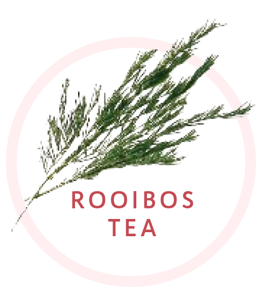 ROOIBOS TEA