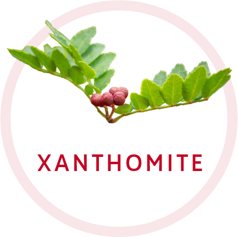 Xanthomite