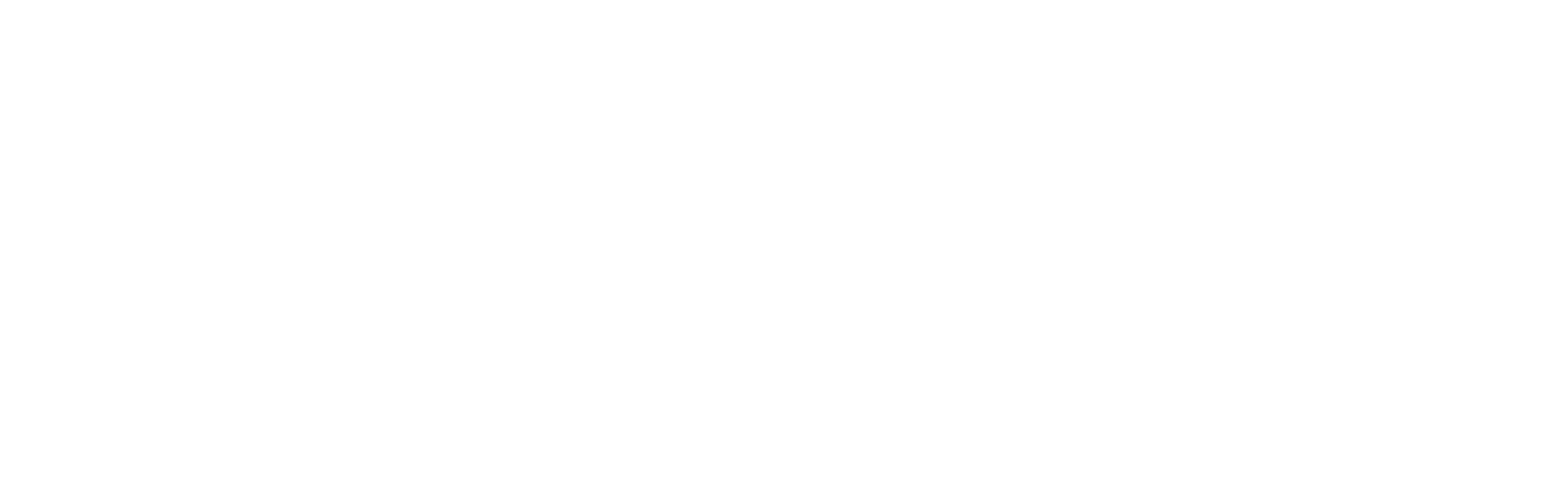 柿を原料とした天然消臭剤原料 PANCIL